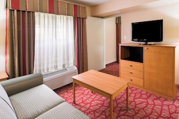 Suite, 1 King Bed, Accessible (Communication, Roll-In Shower)