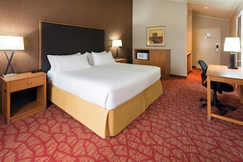 Suite, 1 King Bed (Additional Living Area)