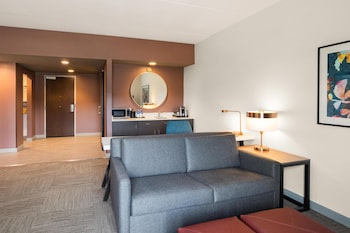 Suite, 1 King Bed, Accessible (3x3 Shower)