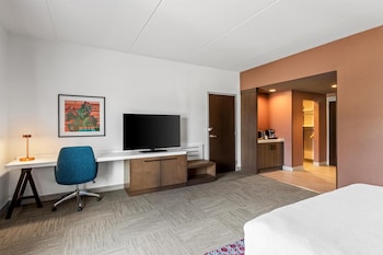 Room, 1 King Bed, Accessible (Roll-In Shower)