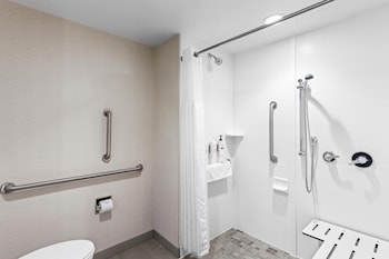 Room, 1 King Bed, Accessible (Roll-In Shower)