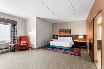 Room, 1 King Bed, Accessible (Mobility & Hearing, 3x3 Shower)