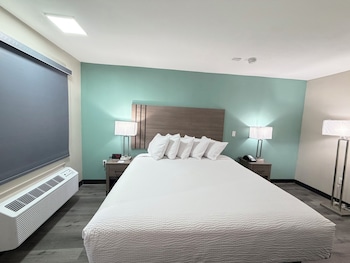 Room, 1 King Bed, Accessible, Non Smoking (Roll-In Shower)