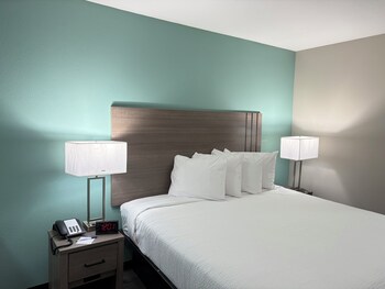 Room, 1 King Bed, Non Smoking