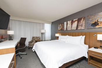 Room, 1 King Bed, Accessible (Roll in Shower)