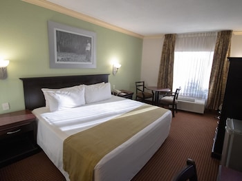 Standard Single Room, 1 King Bed
