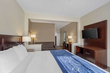 Suite, 1 King Bed with Sofa bed, Accessible, Non Smoking