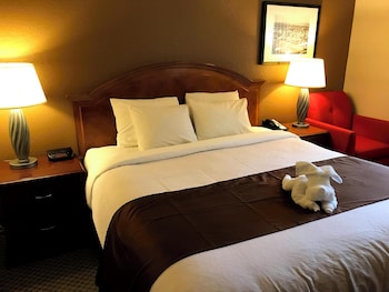 Room, 1 King Bed, Non Smoking
