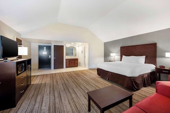 Standard Room, 1 King Bed, Non Smoking, Refrigerator & Microwave (Larger Room;with Sofabed)