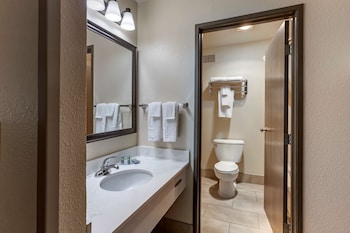 Standard Room, 1 King Bed, Non Smoking, Refrigerator & Microwave (Pet Friendly)