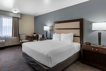 Standard Room, 1 King Bed, Non Smoking, Patio (1st Floor)