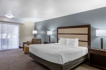 Standard Room, 1 King Bed, Non Smoking, Refrigerator & Microwave (Pet Friendly)