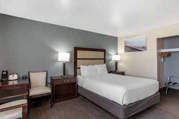 Standard Room, 1 Queen Bed, Non Smoking, Refrigerator & Microwave