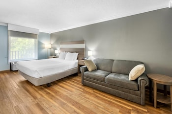 Standard Room, 1 King Bed with Sofa bed, Non Smoking