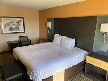 Standard Room, 1 King Bed, Non Smoking