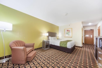 Room, 1 Queen Bed, Accessible, Non Smoking
