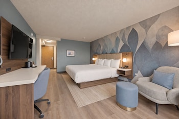 Room, 1 King Bed, Non Smoking