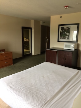 Suite, 1 King Bed with Sofa bed, Non Smoking (Mini)