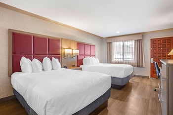 Standard Room, 2 Queen Beds, Non Smoking, Refrigerator & Microwave