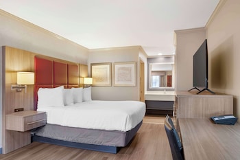Standard Room, 1 Queen Bed, Non Smoking, Refrigerator & Microwave