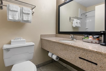 Suite, King Bed, 1 person Sofa Bed