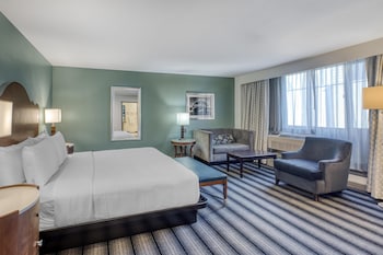 Premium Suite, 1 King Bed, Accessible, Bathtub (with Sofabed)