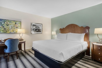 Standard Room, 1 King Bed, Non Smoking