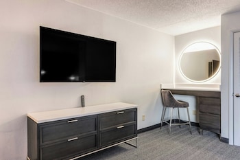 Suite, 1 King Bed with Sofa bed