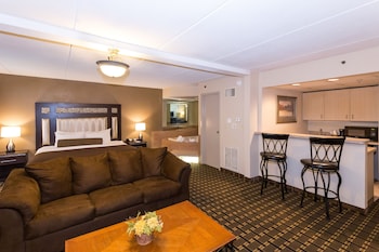 1 King Bed Business Suite