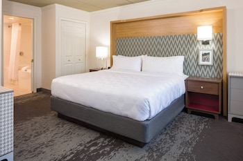 Suite, 1 King Bed, Accessible (Communication, Accessible Tub)