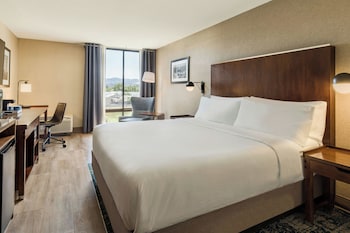 Room, 1 King Bed, Hearing Accessible