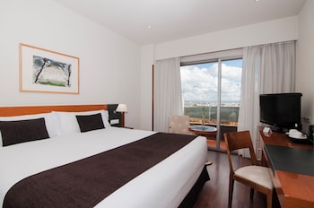 Double Room, 1 King Bed