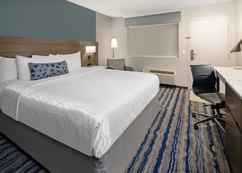 Standard Room, 1 King Bed, Accessible, Bathtub