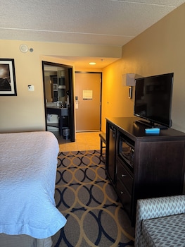 Room, 1 King Bed, Non Smoking