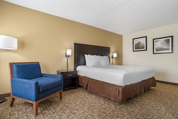 Standard Room, 1 King Bed, Non Smoking, Refrigerator & Microwave
