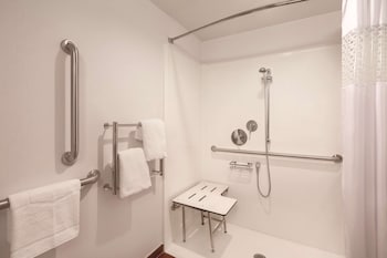 Room, Accessible, Non Smoking (Roll-in Shower)