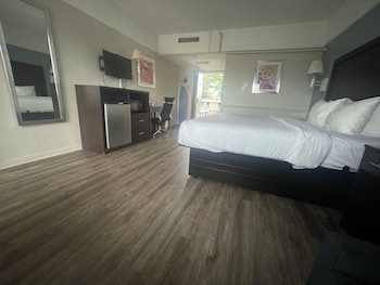 Deluxe Room, 1 King Bed, Smoking, Refrigerator & Microwave