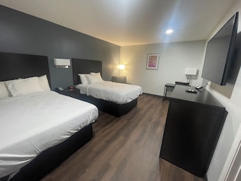Standard Suite, 2 Double Beds, Non Smoking, Refrigerator & Microwave
