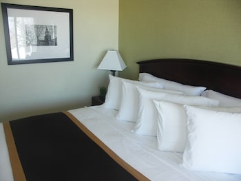 Standard 1 King Bed, Non Smoking