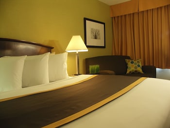Standard 1 King Bed, Non Smoking