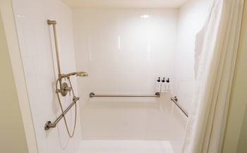 Standard Room, 1 King Bed, Accessible (Roll-In Shower)