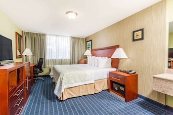 Room, 1 King Bed, Non Smoking