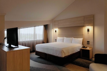 Executive Suite, 1 King Bed