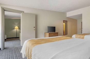 Suite, Multiple Beds, Accessible, Non Smoking