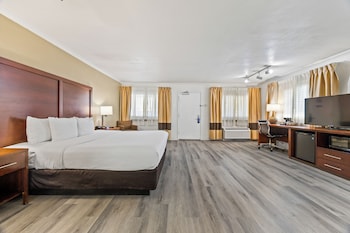 Suite, 1 King Bed, Non Smoking