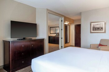 Room, 1 King Bed with Sofa bed, River View