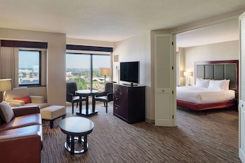 Standard Suite, 1 King Bed with Sofa bed, City View (Mobility/Hearing Access, Roll-In Shwr)