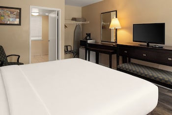 Standard Room, 1 King Bed, Accessible