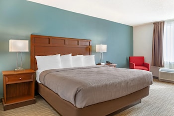 Room, 1 King Bed, Accessible, Non Smoking (Roll-In Shower)