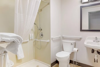Room, 1 King Bed, Accessible, Non Smoking (Roll-In Shower)